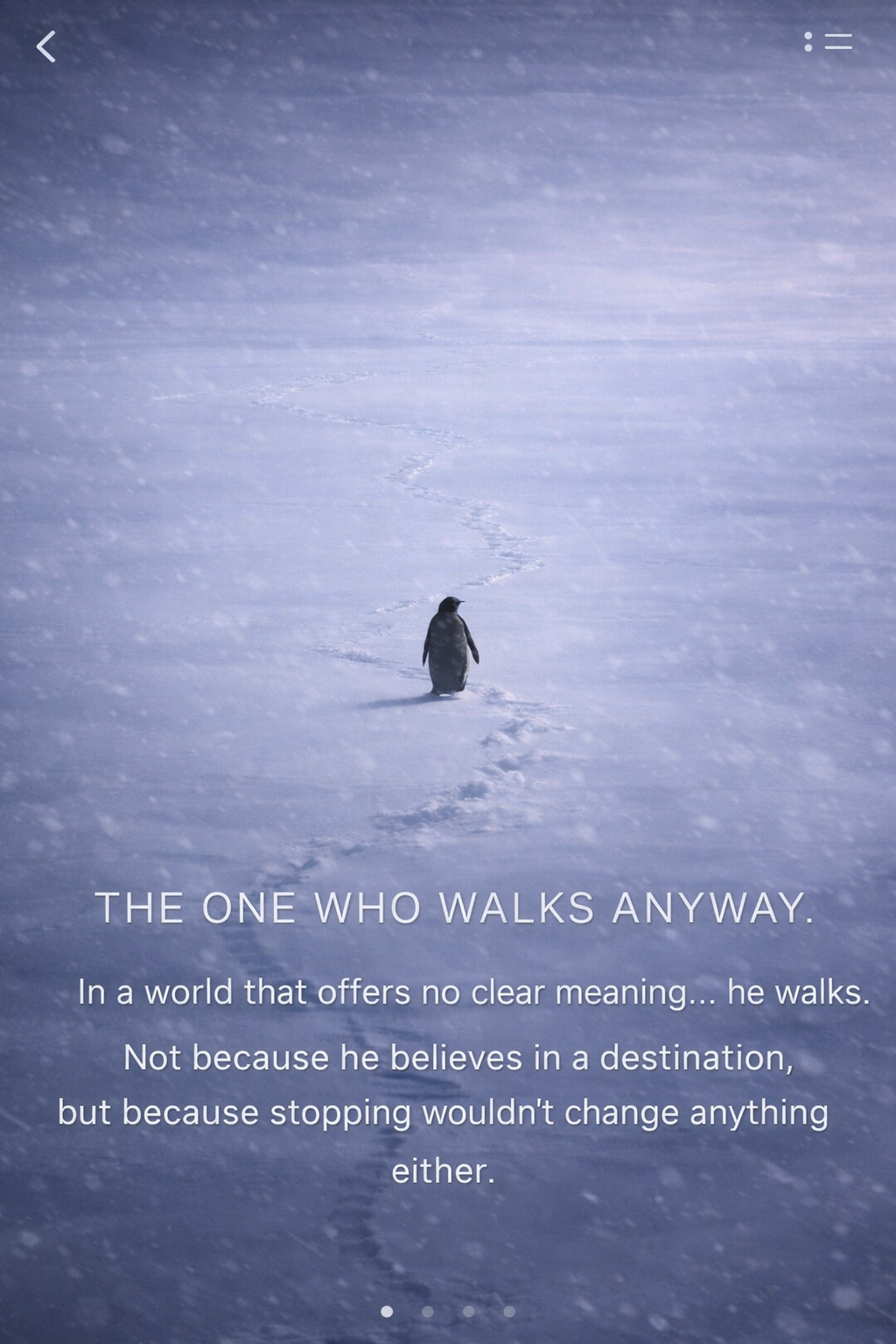 Penguin walking alone across vast ice