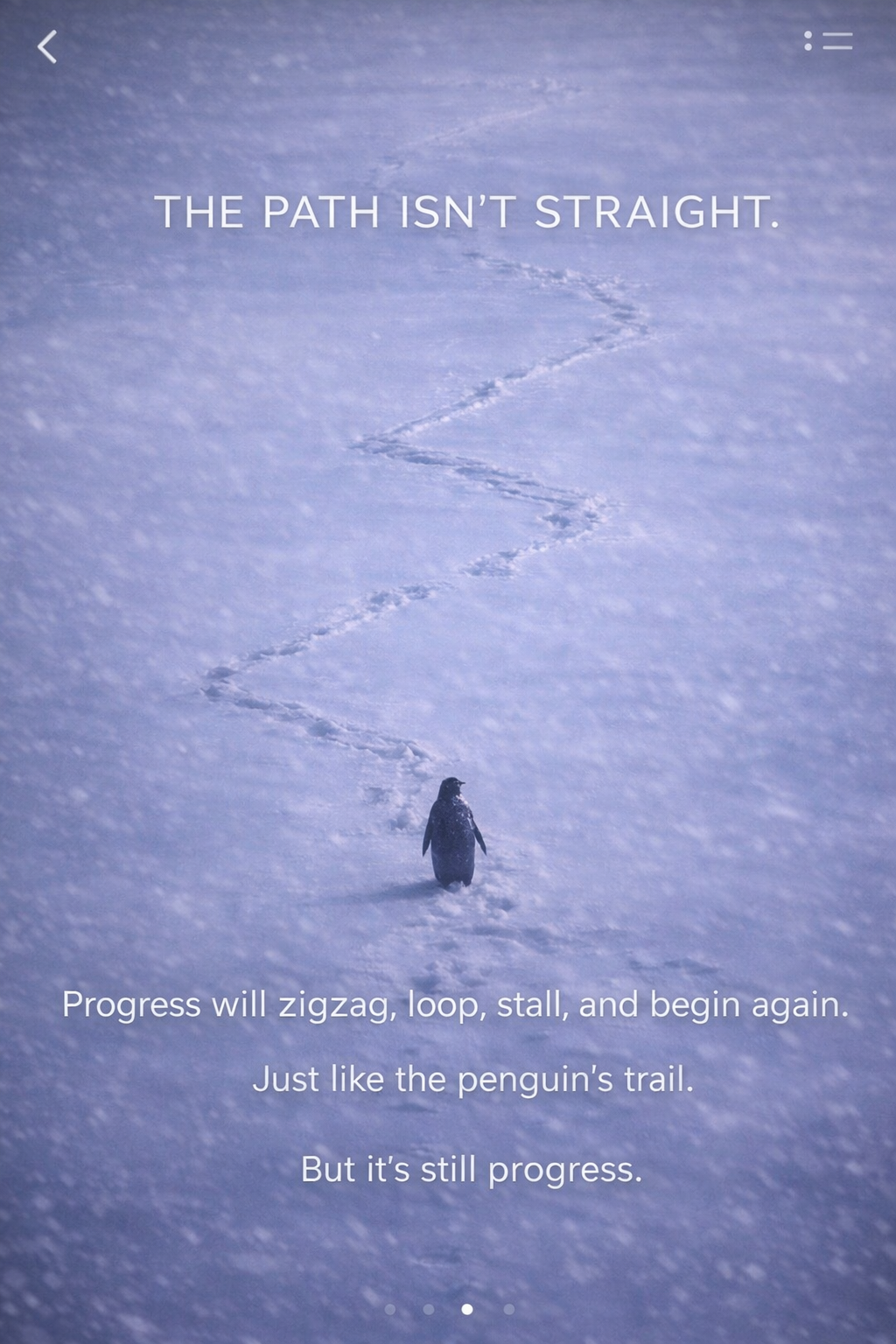 Winding penguin trail in the snow